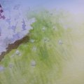 Kundenbild Aquarellmedium Sennelier Drawing Gum - 0,5 mm Pipette 37,5 ml