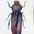 Kundenbild Canson Montval 300g Feingräng - 18x25 cm