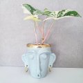 Kundenbild DAS Clay 1 kg Stein