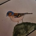 Kundenbild Aquarellstift Albrecht D�rer - 173 Olivgr�n Gelblich