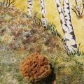 Kundenbild Aquarell Naturschwamm grobporig ca. 6 cm