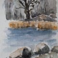 Kundenbild Rembrandt Aquarell 5 ml - Gelb/Orange-2-Gelb