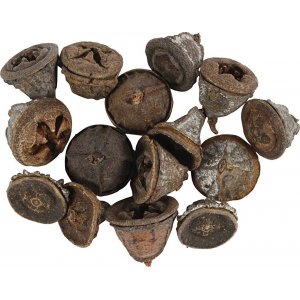 Eukalyptuszapfen - 25 g Eukalyptuszapfen - 25 g