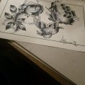 Kundenbild Copic Ciao 5+1 Set - Farbtöne