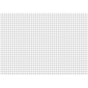 Schreibkarte - A5 kariert x100 Schreibkarte - A5 kariert x100