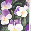 Kundenbild Aquarellblock Sense 200g - A4