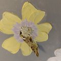 Kundenbild Design-Metall - Gold 25 Stk.