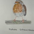 Kundenbild Doppelseitige Aquarellstifte Design Journey - 18 Stifte