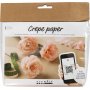 Mini DIY Kit Krepppapier - Nelken