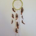 Kundenbild Fasanenfedern 10 cm - natur 2 g