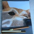 Kundenbild Farbstift Polychromos - 180 Raw Umber