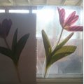 Kundenbild Selbstklebefolie 300 x 200 mm - transparent 2 Stk.