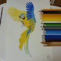 Kundenbild Aquarellstift Mondeluz - 36 Stifte im Karton