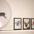 Kundenbild Noris Aquarellstifte - 24 Stifte