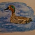 Kundenbild Aquarellstift Albrecht D�rer - 174 Chromgr�n deckend