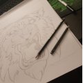 Kundenbild Die Zeichnung Goldfaber - Graphit