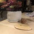 Kundenbild Modellierwerkzeug Holz 105 x 65 mm - unbehandelt 1 Stk. Oval