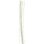 Bltenstiele - grn - 0,6 mm - 20 Stk