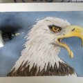 Kundenbild Aquarellmedium Sennelier Drawing Gum - 0,5 mm Pipette 37,5 ml
