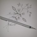 Kundenbild Winsor & Newton Fineliner-Set - 5 Stifte