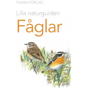 Kleiner Naturführer: Vögel Kleiner Naturführer: Vögel