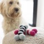 Mini DIY Kit Hkeln, Hundeknochen