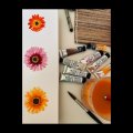 Kundenbild Pinselset - Aquarell Nr.2 (5 Stück)