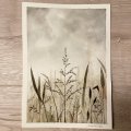 Kundenbild Aquarellblock, geklebte kaltgepresste Bögen, 300 g - A4
