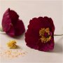 Mini-DIY-Kit Krepppapier - Mohn