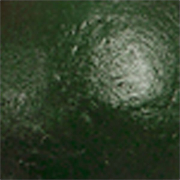 Schulfarbe - Acryl - dunkelgrn - glnzend - 500 ml