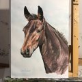Kundenbild Aquarellfarbe W&N Cotman Half Cup - 676 Vandyke Brown