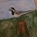 Kundenbild Aquarellstift Albrecht D�rer - 274 Warm Grey V