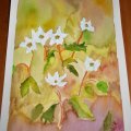 Kundenbild Aquarellblock, geklebte kaltgepresste Bögen, 300 g - A4