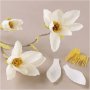 Mini-DIY-Kit Krepppapier - Magnolienzweig