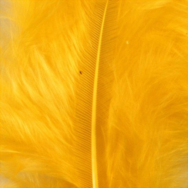 Daunen - gelb - 15 Stk