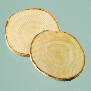 Holztablett ø 3-5 cm - unbehandelt Holztablett ø 3-5 cm - unbehandelt