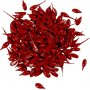 Kerzenfarbe - rot - 10 g