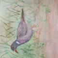 Kundenbild Aquarellstift Albrecht D�rer - 153 Kobaltt�rkis
