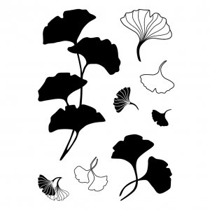Motivstempel - Ginkgo Motivstempel - Ginkgo
