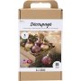 DIY Kit Decoupage - Weihnachtsrot - Trockenblumen