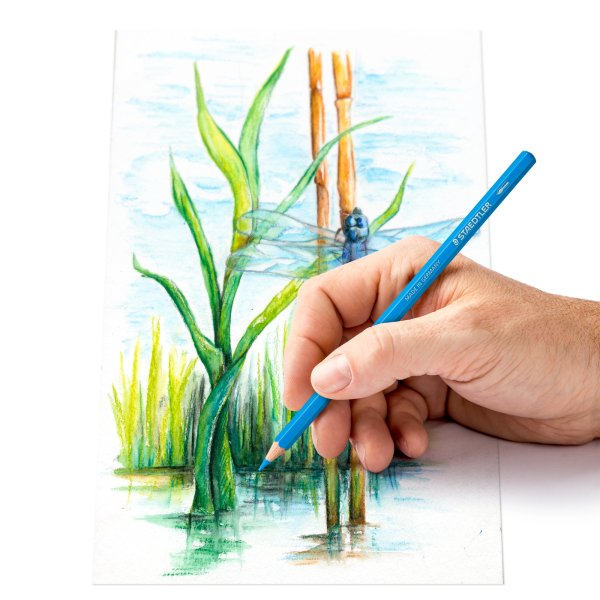 Staedtler 146 10C Aquarellstifte, 12 Farben - Metalletui Staedtler 146 10C Aquarellstifte, 12 Farben - Metalletui