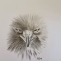 Kundenbild Transparentpapier - A4 - 100 Seiten