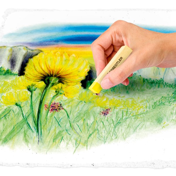 STAEDTLER Soft Pastellkreiden, 24 Farben - 1 Packung STAEDTLER Soft Pastellkreiden, 24 Farben - 1 Packung