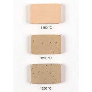 Steinzeugton Nr. 933, beige mit Punkten und Schamotte - 10 kg