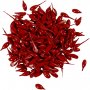 Kerzenfarbe - rot - 10 g