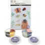 Mini-DIY-Kit - Insekten