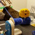 Kundenbild Strickmaschine