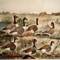 Kundenbild Synthetisches Pinselset W&N Foundation Aquarell - Nr. 10