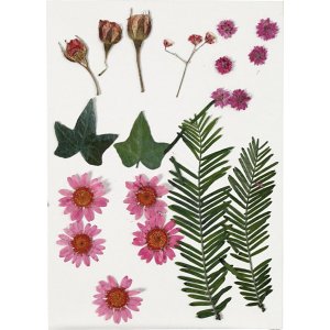 Getrocknete Blüten und Blätter - leuchtend rot Getrocknete Blüten und Blätter - leuchtend rot