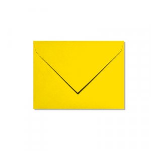 Pollen 75x100 - 20er-Pack - Intensives Gelb Pollen 75x100 - 20er-Pack - Intensives Gelb